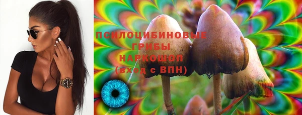 PSILOCYBIN Алексин