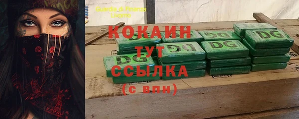 ГАЛЛЮЦИНОГЕННЫЕ ГРИБЫ Михайлов