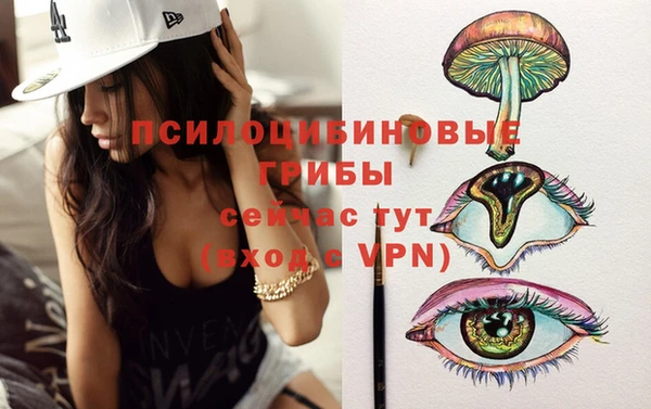 PSILOCYBIN Алексин