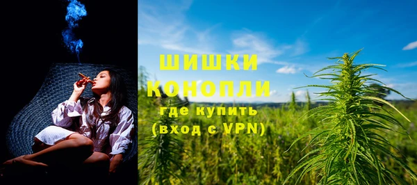 твердый Долгопрудный