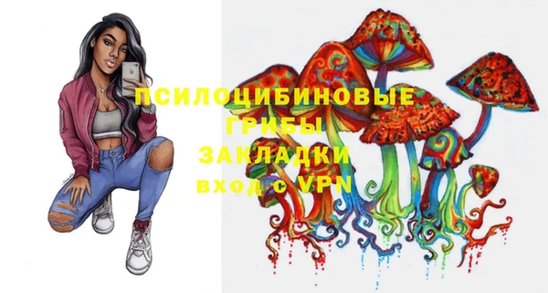 PSILOCYBIN Алексин