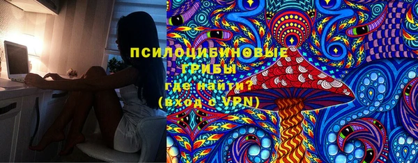 PSILOCYBIN Алексин